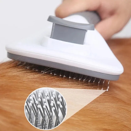 Dog and Cat Grooming Brush